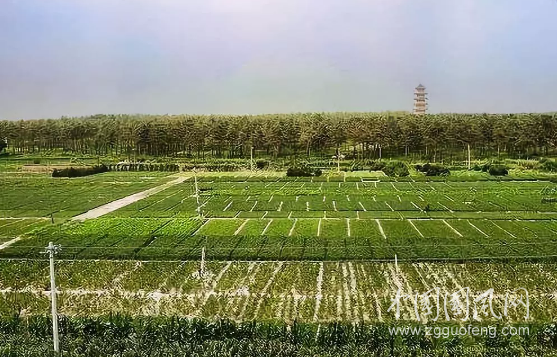 QQ截圖20180615191159.png