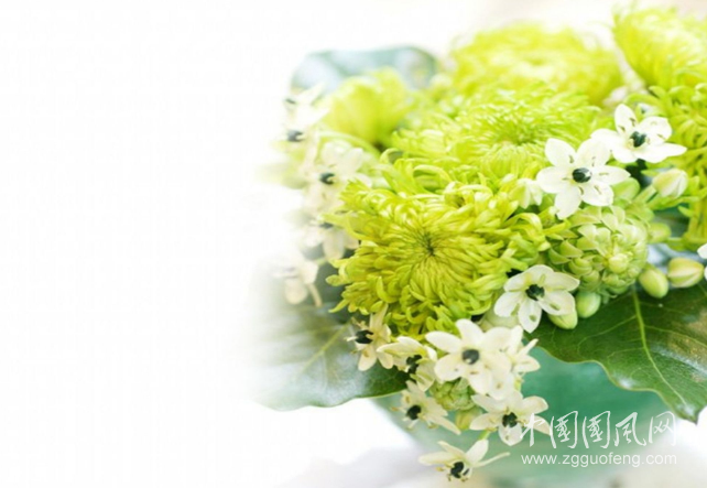  時(shí)光無(wú)尋處，唯有少年心