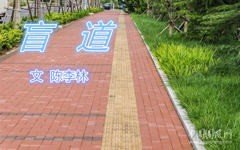 盲道（文  陳李林）