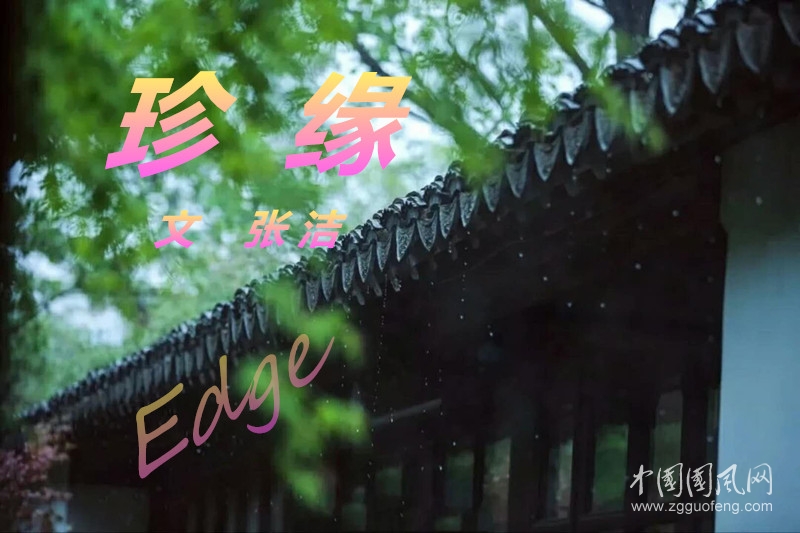 珍緣（文  張潔）