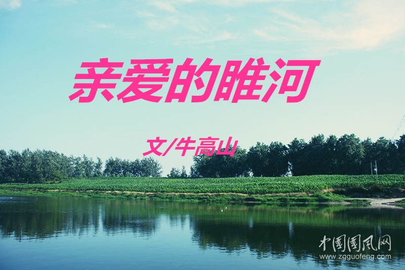  親愛(ài)的睢河（   文/牛高山）