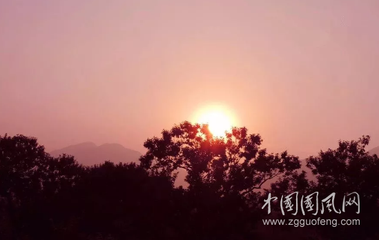 QQ截圖20180710190646.png