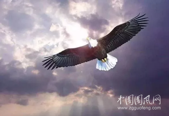 QQ截圖20180710191246.png