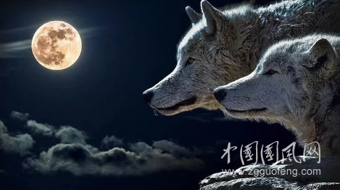 QQ截圖20180719161542.png