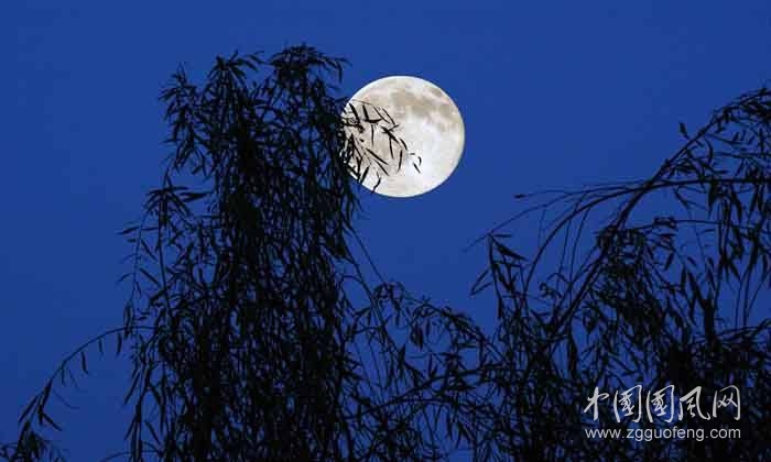 秋夜隨想