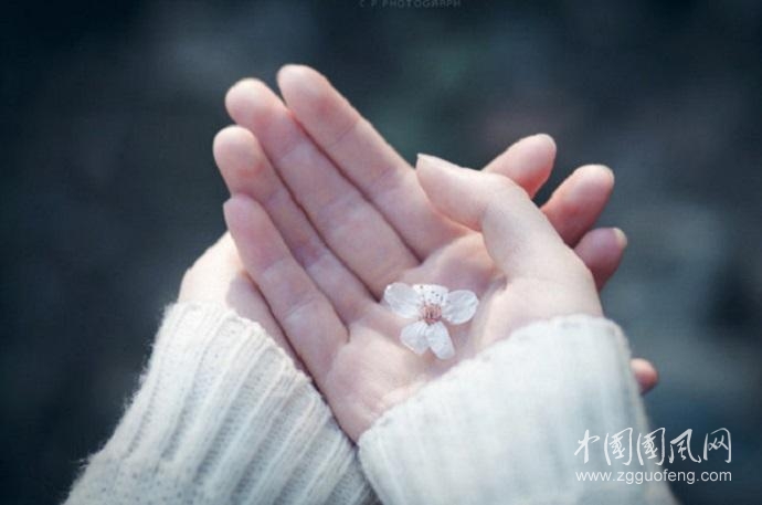 努力才是人生的態(tài)度