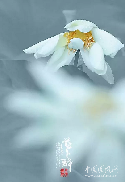 QQ截圖20180917181307.png