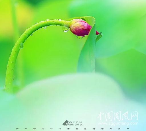 QQ截圖20180917181212.png