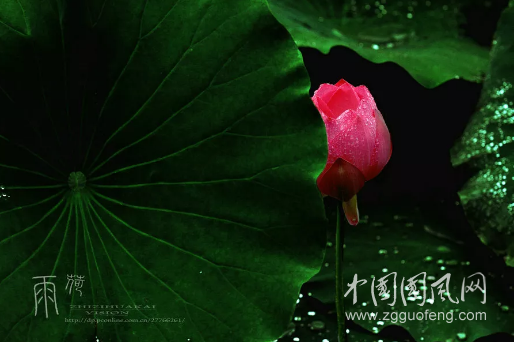 QQ截圖20180917181418.png