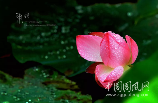 九月寂靜，依然有夢(mèng)