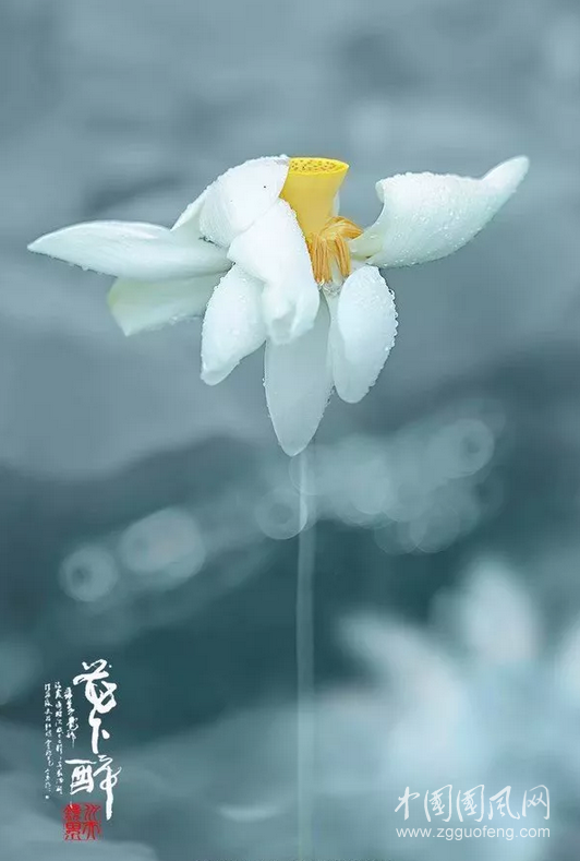 我偏愛