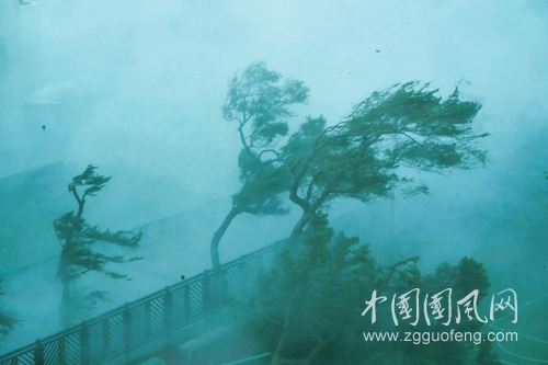 《大風(fēng)來(lái)了》   （文/青春鳥）