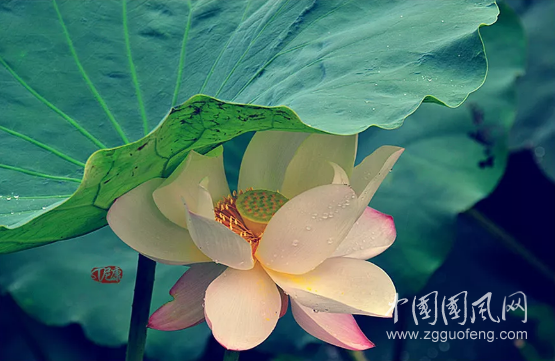 QQ截圖20181025164850.png