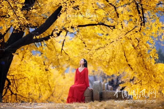   愛情，是一洼藍(lán)藻