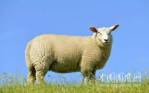 QQ截圖20181127161656.png