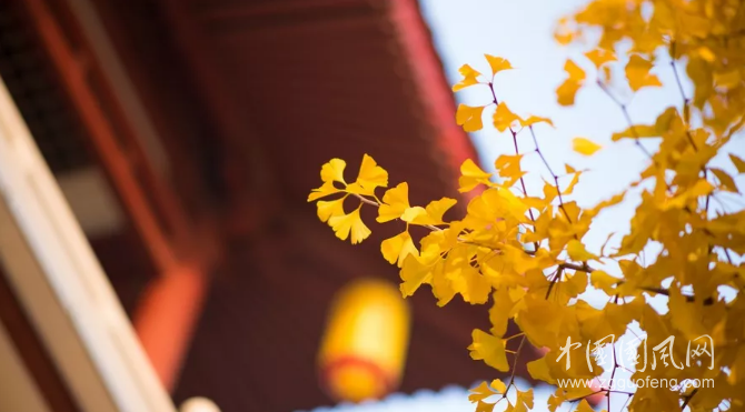  一場(chǎng)陣雨