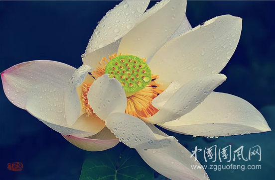  計(jì)然之策，古今一理