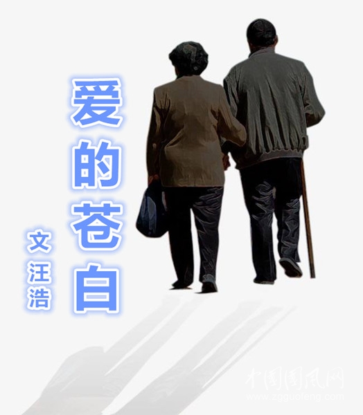 愛的蒼白（文  汪浩）