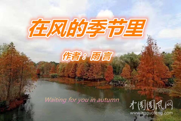  在風的季節(jié)里（作者:雨言）