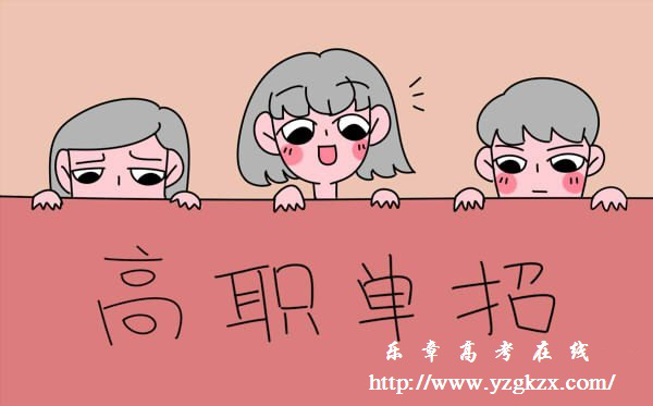  2019安徽省高職院校分類考試招生咨詢會方案