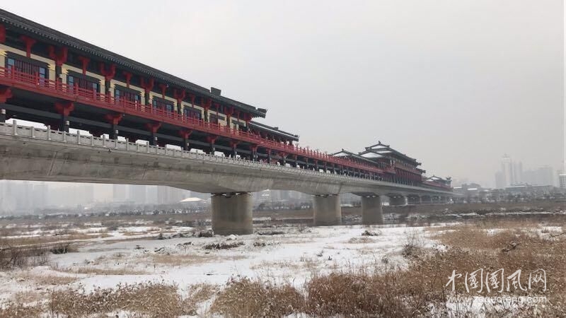  隨筆：落   雪