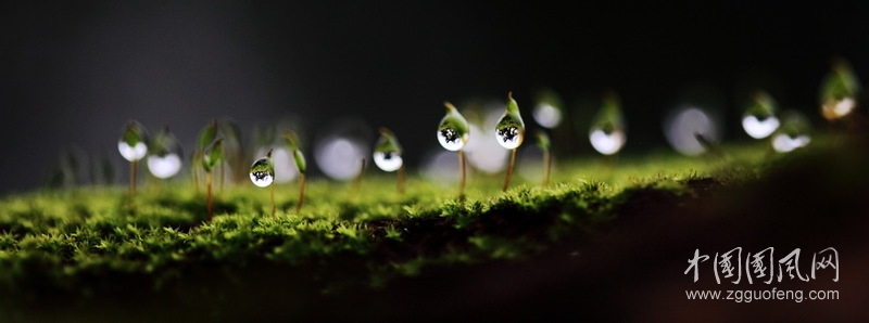 待見的雨季
