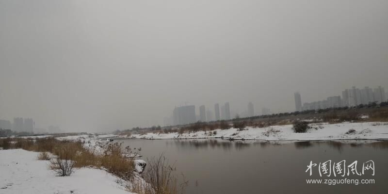 QQ圖片20190215172625.jpg