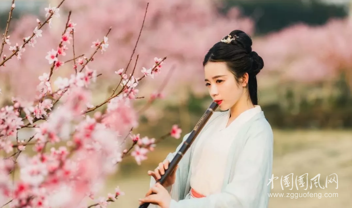  明媚春光，歲月靜好