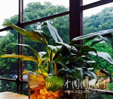 當雨季來臨