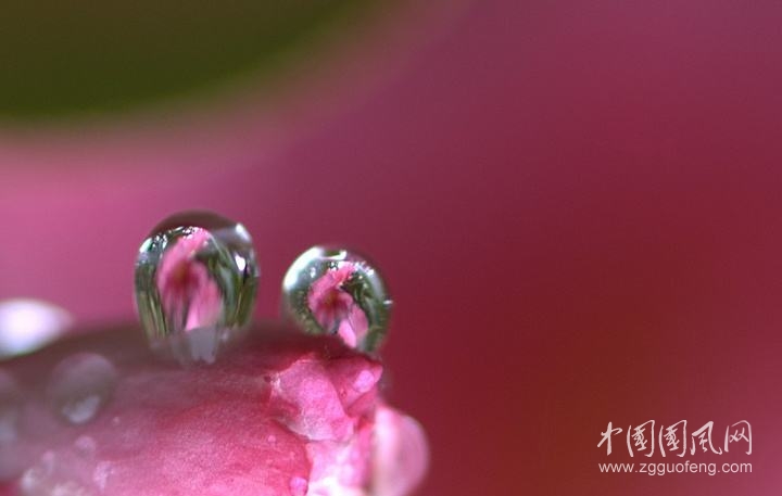 雨花的快樂