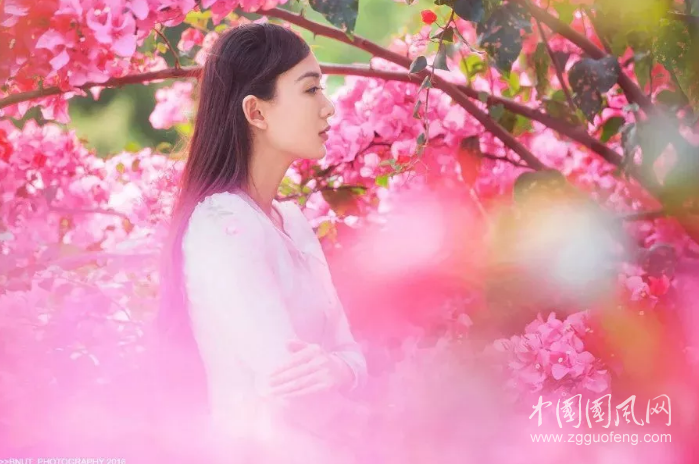 QQ截圖20190329193350.png