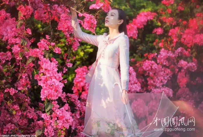 QQ截圖20190329193359.png