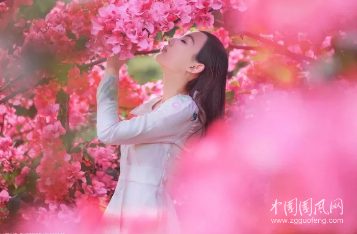 QQ截圖20190329193335.png