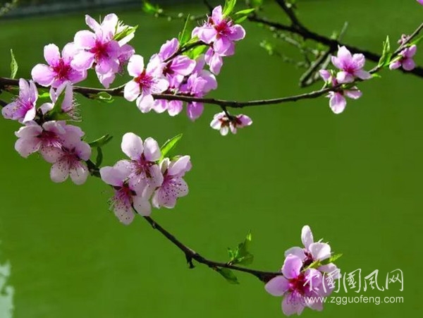 張潔1.jpg