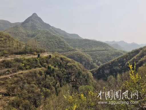 QQ截圖20190413143444.png