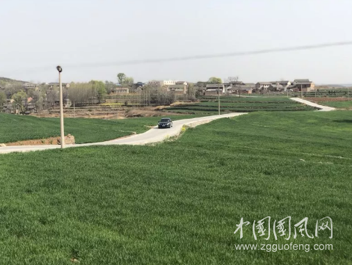 QQ截圖20190413143429.png