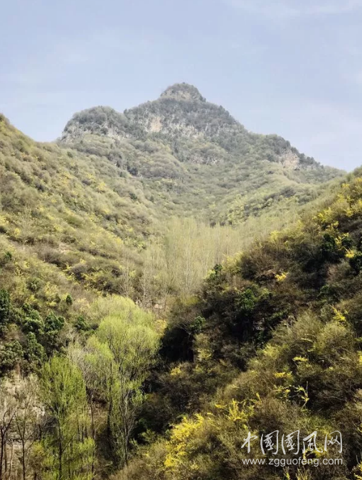 QQ截圖20190413143523.png