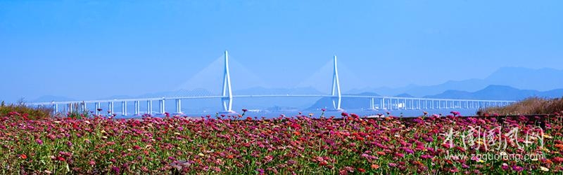 連接高鐵的橋