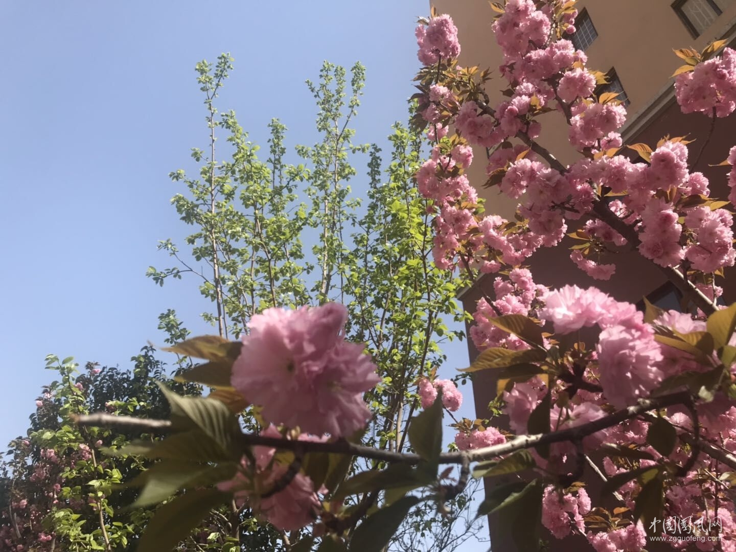 QQ圖片20190428160644.jpg