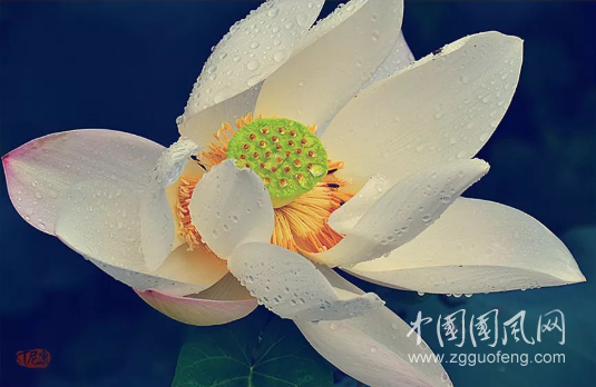 QQ截圖20190426182631.png