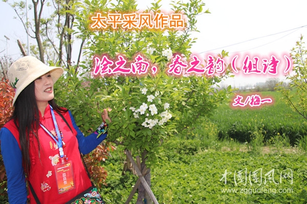 澮之南，春之韻（組詩）【文/梅一】