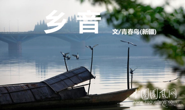  鄉(xiāng) 音（文/青春鳥）