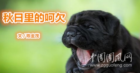 u=3692411189,428764498&fm=26&gp=0.jpg