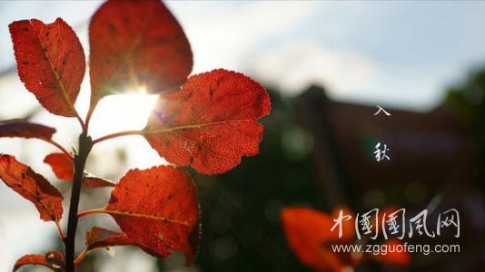 初秋的詞