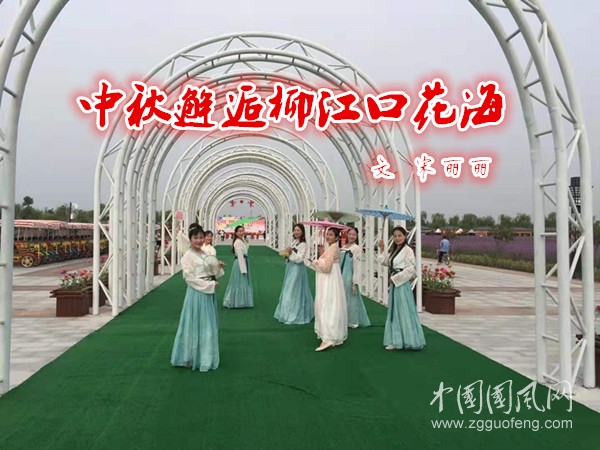     中秋邂逅柳江口花海（文 宋麗麗）
