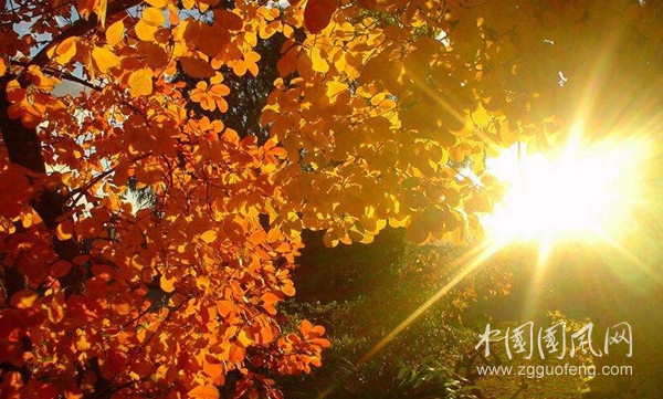  瞬間    （文/青春鳥(niǎo)·新疆)