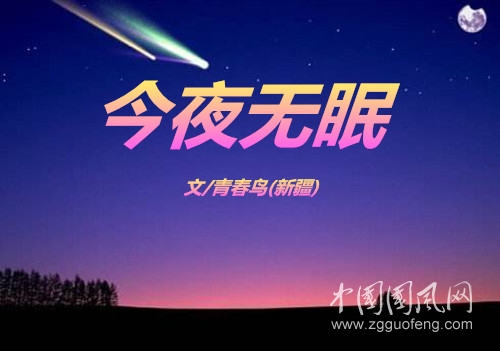  今夜無(wú)眠（文/青春鳥(niǎo)·新疆)）