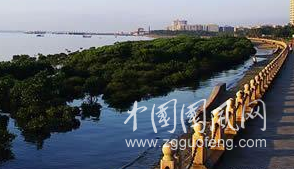 河的長廊