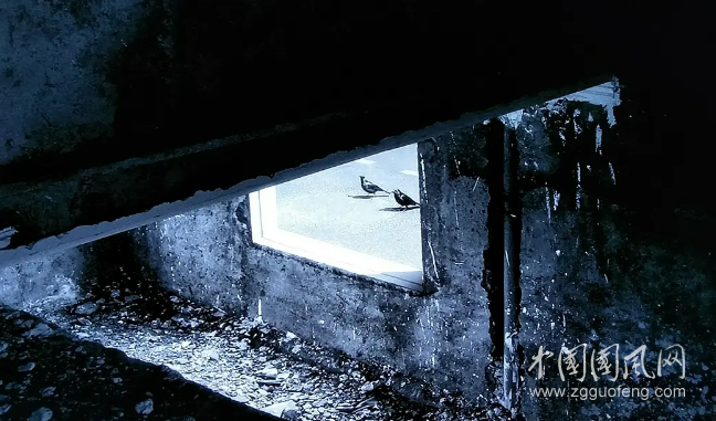 視覺(jué)