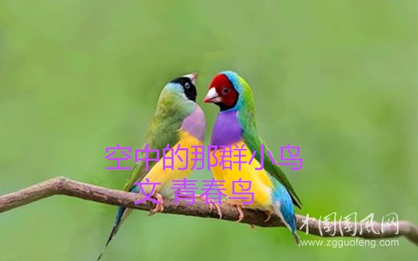 441e88043a4506a61453e8466aaec8ba_t015a70465c8532a51b_副本.jpg